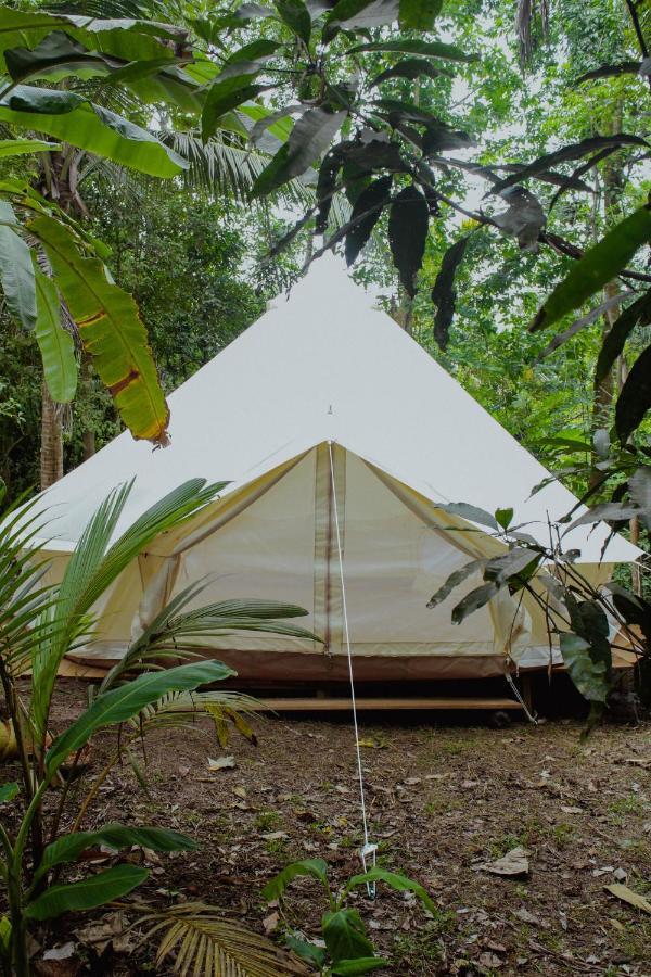 Nature Rex Hostel Weligama Exterior photo