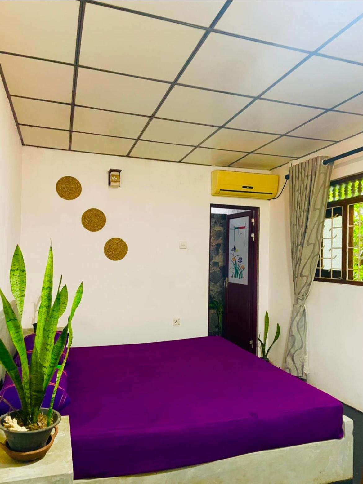 Nature Rex Hostel Weligama Exterior photo