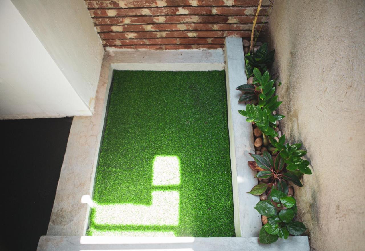 Nature Rex Hostel Weligama Exterior photo