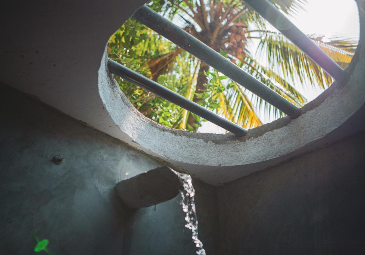 Nature Rex Hostel Weligama Exterior photo