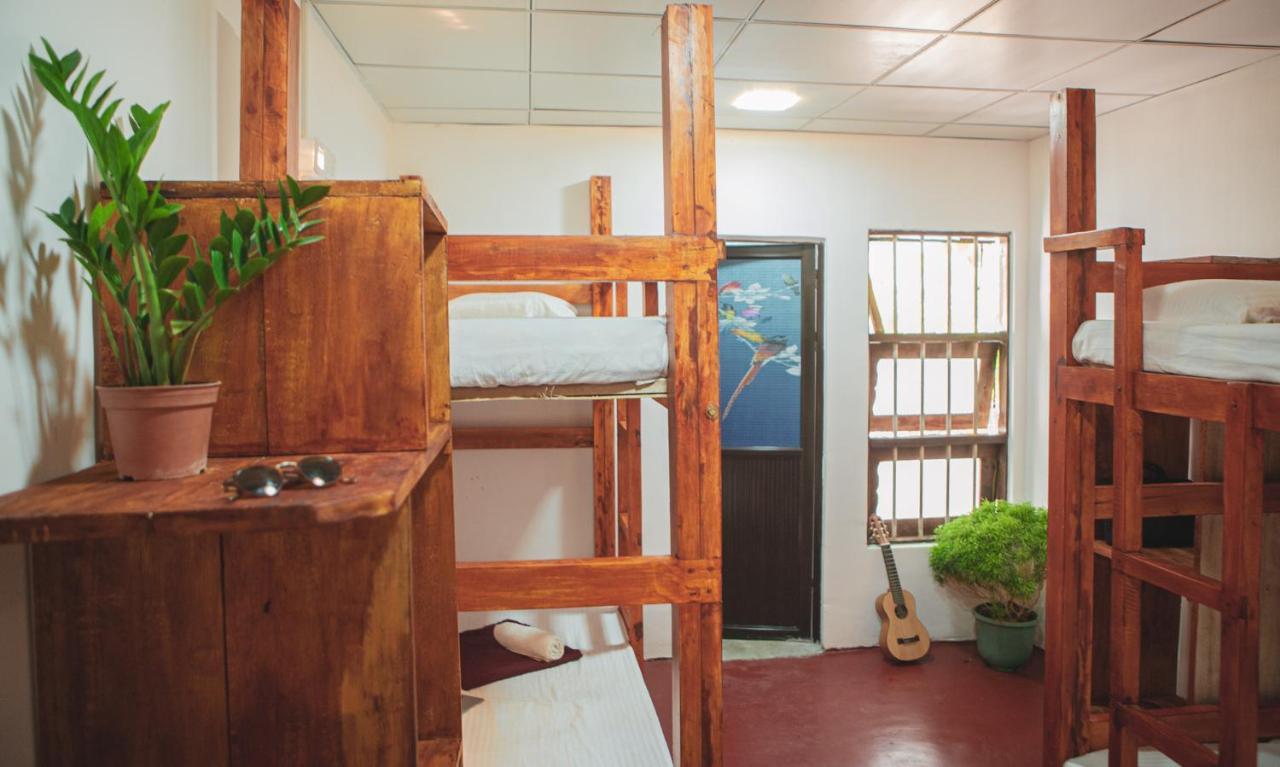 Nature Rex Hostel Weligama Exterior photo