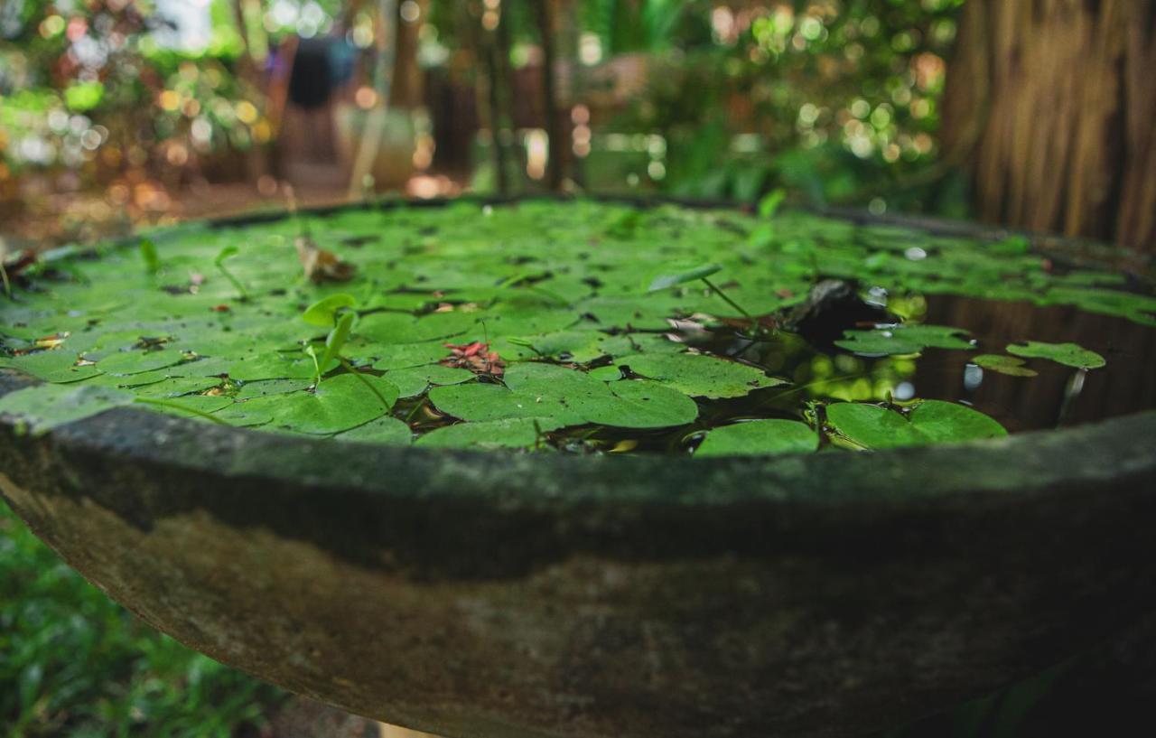 Nature Rex Hostel Weligama Exterior photo